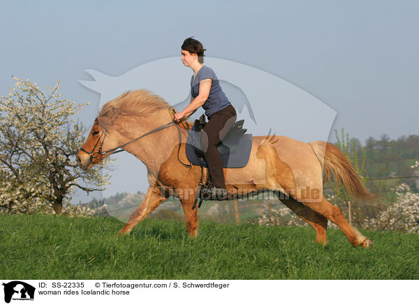 Frau reitet Islnder / woman rides Icelandic horse / SS-22335