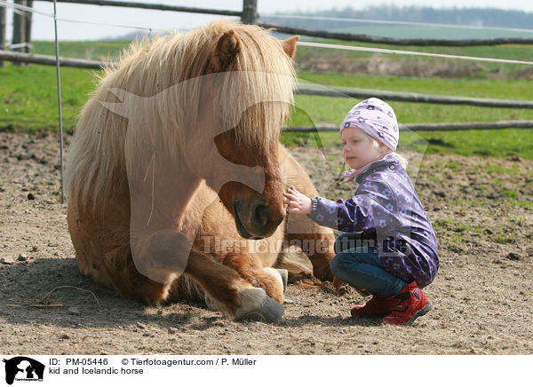 Kind und Islnder / kid and Icelandic horse / PM-05446