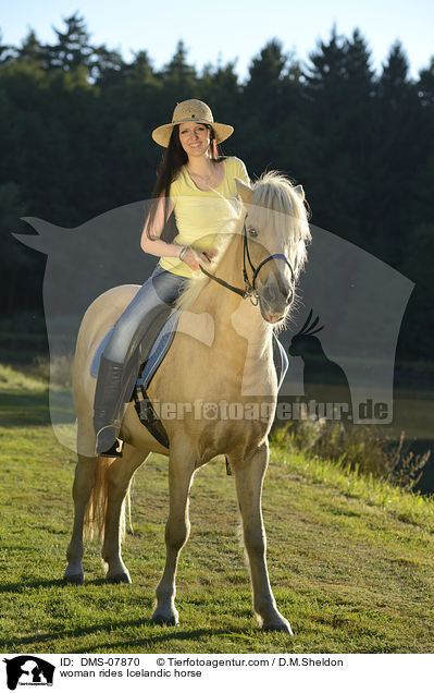 Frau reitet Islnder / woman rides Icelandic horse / DMS-07870