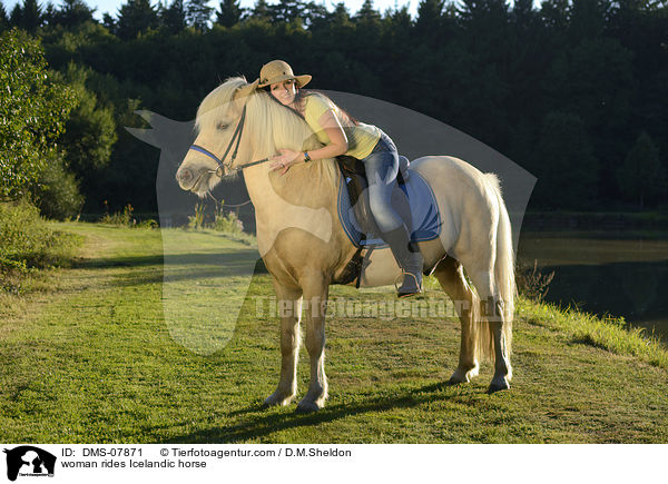 Frau reitet Islnder / woman rides Icelandic horse / DMS-07871