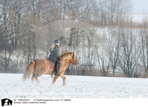 Frau reitet Islnder / woman rides Icelandic horse / PM-05531