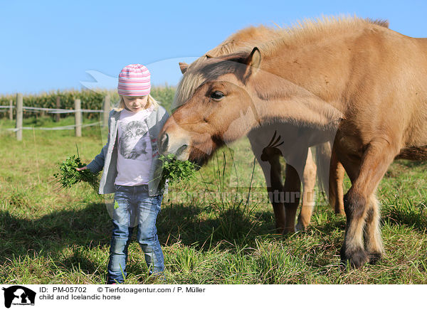 Kind und Islnder / child and Icelandic horse / PM-05702