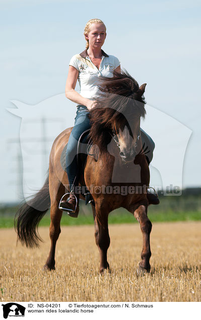 Frau reitet Islnder / woman rides Icelandic horse / NS-04201