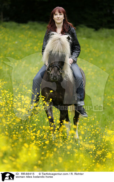 Frau reitet Islnder / woman rides Icelandic horse / RR-66415