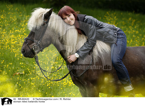 Frau reitet Islnder / woman rides Icelandic horse / RR-66420