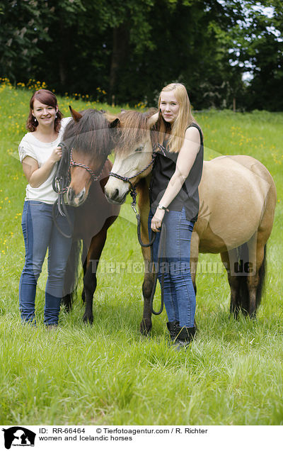 Frauen und Islnder / women and Icelandic horses / RR-66464