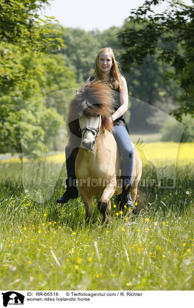 Frau reitet Islnder / woman rides Icelandic horse / RR-66516