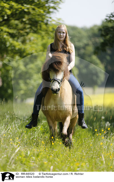 Frau reitet Islnder / woman rides Icelandic horse / RR-66520