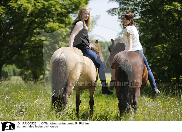 Frauen reiten Islnder / women rides Icelandic horses / RR-66522