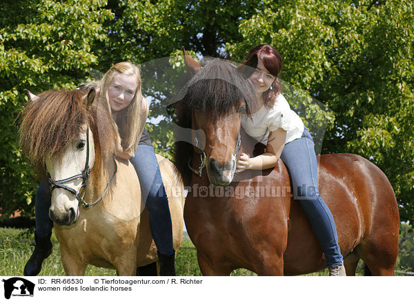 Frauen reiten Islnder / women rides Icelandic horses / RR-66530