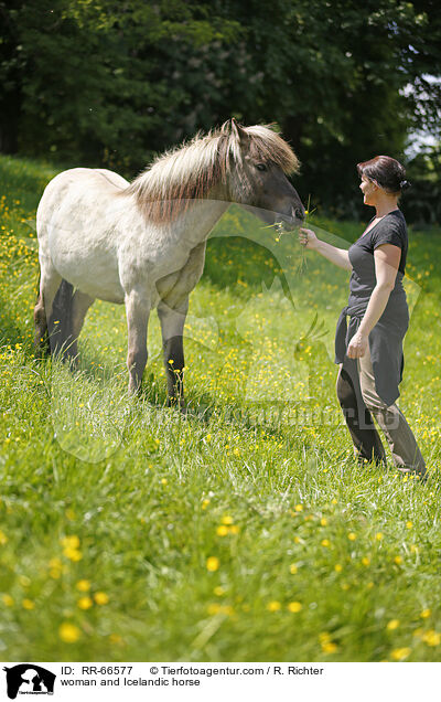 Frau und Islnder / woman and Icelandic horse / RR-66577