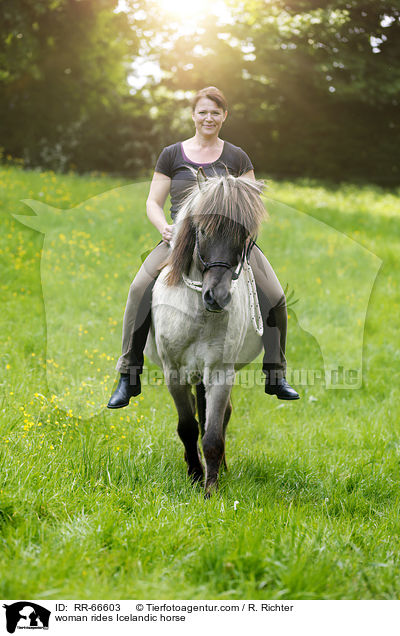 Frau reitet Islnder / woman rides Icelandic horse / RR-66603