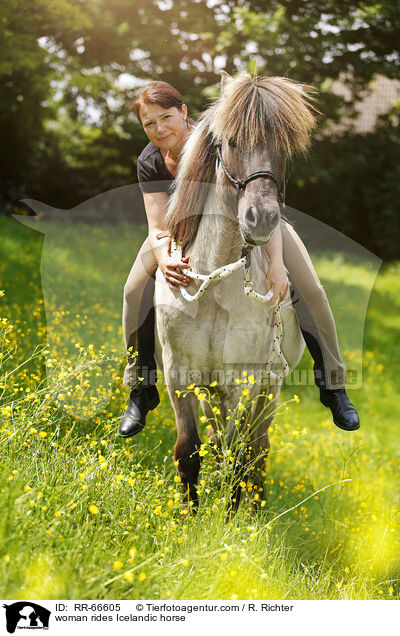 Frau reitet Islnder / woman rides Icelandic horse / RR-66605