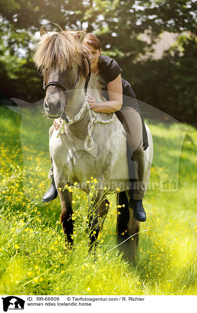 Frau reitet Islnder / woman rides Icelandic horse / RR-66606