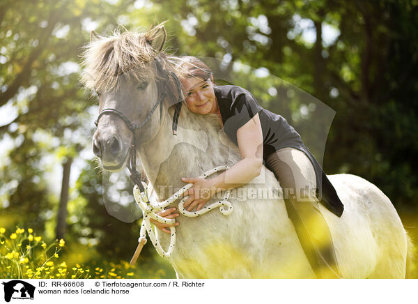 Frau reitet Islnder / woman rides Icelandic horse / RR-66608