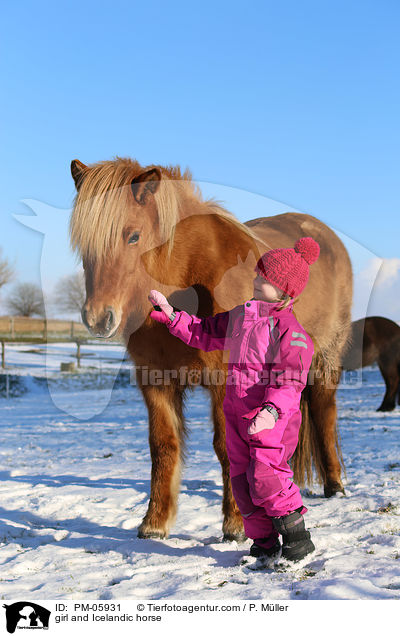 Mdchen und Islnder / girl and Icelandic horse / PM-05931