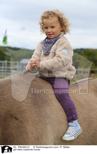 Mdchen reitet Islnder / girl rides Icelandic horse / PM-06012