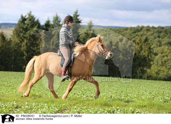 Frau reitet Islnder / woman rides Icelandic horse / PM-06041