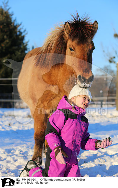 Mdchen und Islnder / girl and Icelandic horse / PM-06164