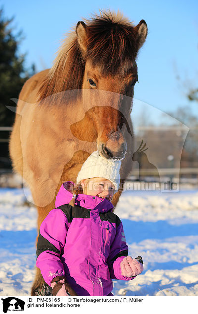 Mdchen und Islnder / girl and Icelandic horse / PM-06165