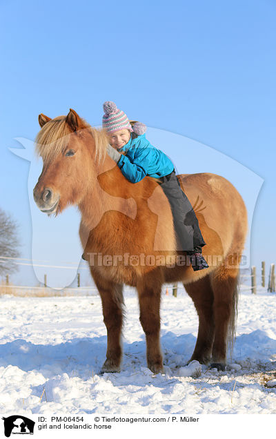 Mdchen und Islnder / girl and Icelandic horse / PM-06454