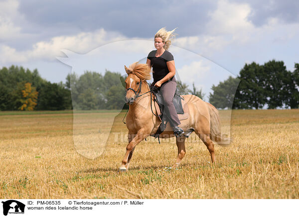 Frau reitet Islnder / woman rides Icelandic horse / PM-06535