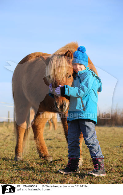 Mdchen und Islnder / girl and Icelandic horse / PM-06557