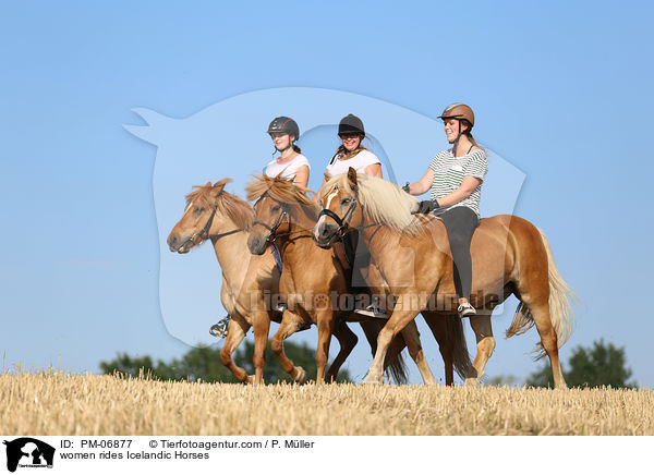 Frauen reiten Islnder / women rides Icelandic Horses / PM-06877