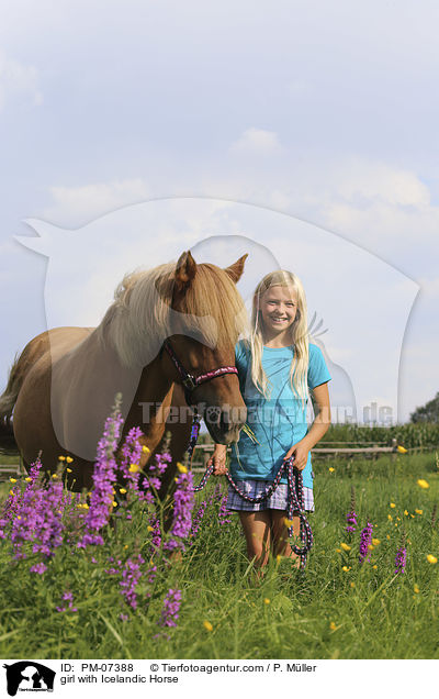 Mdchen mit Islnder / girl with Icelandic Horse / PM-07388