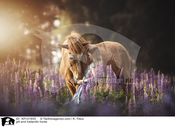 Mdchen und Islnder / girl and Icelandic horse / KFI-01655