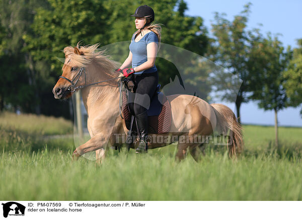 Reiterin auf Islnder / rider on Icelandic horse / PM-07569