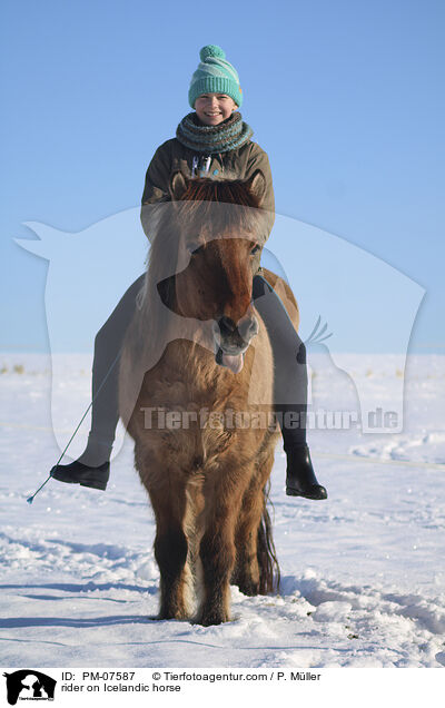 Reiterin auf Islnder / rider on Icelandic horse / PM-07587