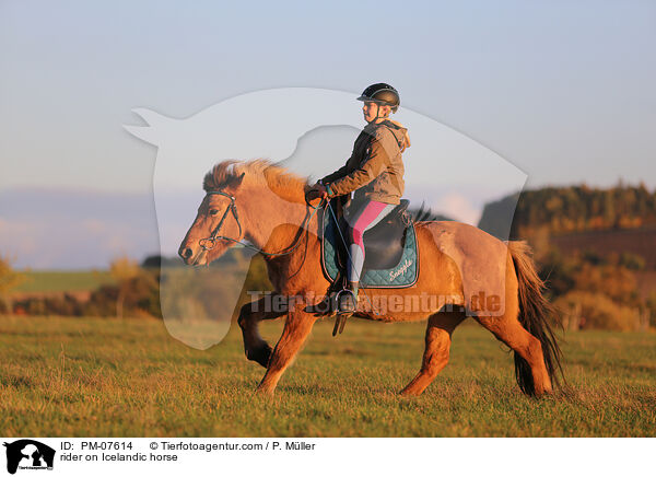 Reiterin auf Islnder / rider on Icelandic horse / PM-07614