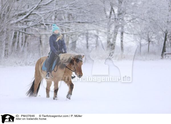 Reiterin auf Islnder / rider on Icelandic horse / PM-07646