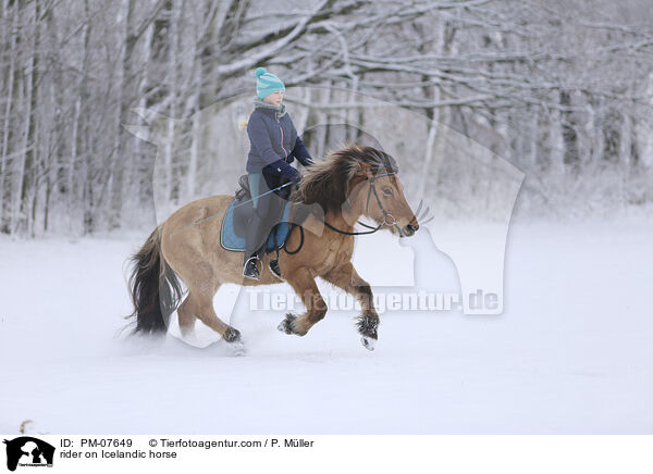 rider on Icelandic horse / PM-07649