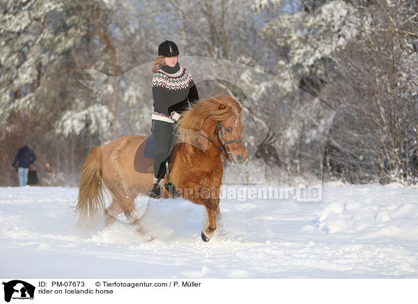 Reiterin auf Islnder / rider on Icelandic horse / PM-07673