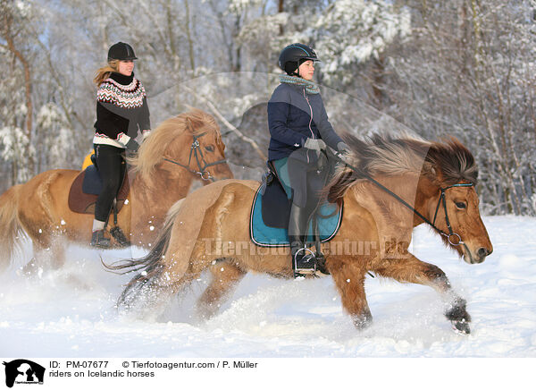 Reiterinnen auf Islndern / riders on Icelandic horses / PM-07677