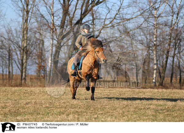 Frau reitet Islnder / woman rides Icelandic horse / PM-07745