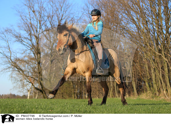 Frau reitet Islnder / woman rides Icelandic horse / PM-07796
