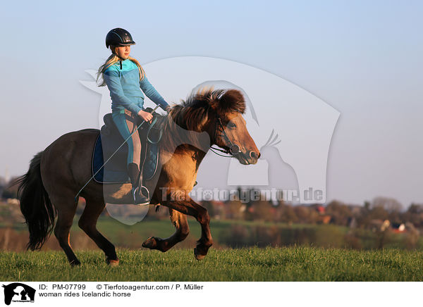Frau reitet Islnder / woman rides Icelandic horse / PM-07799