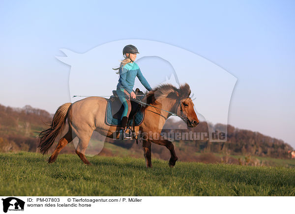 Frau reitet Islnder / woman rides Icelandic horse / PM-07803