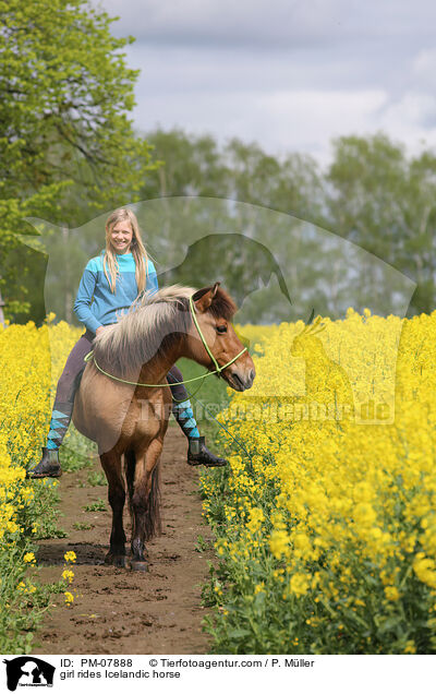 girl rides Icelandic horse / PM-07888