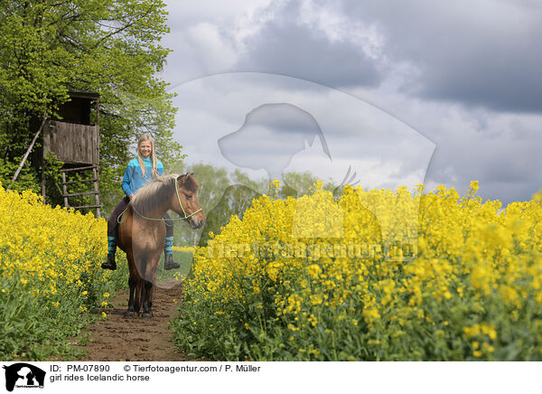 girl rides Icelandic horse / PM-07890