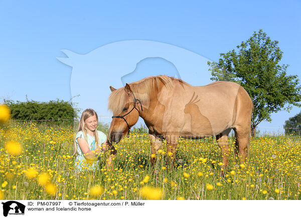 Mdchen und Islnder / woman and Icelandic horse / PM-07997