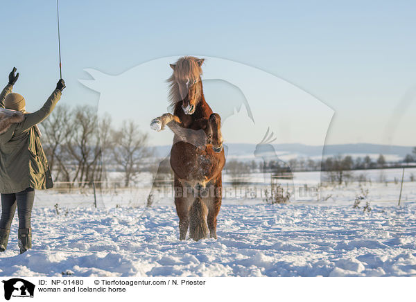 Frau und Islnder / woman and Icelandic horse / NP-01480