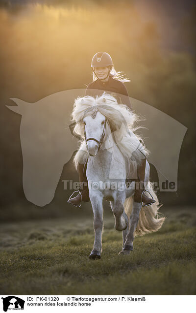 Frau reitet Islnder / woman rides Icelandic horse / PK-01320