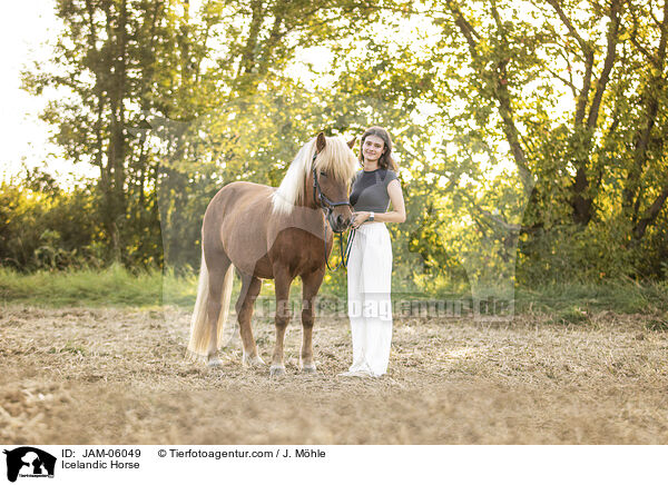 Islnder / Icelandic Horse / JAM-06049