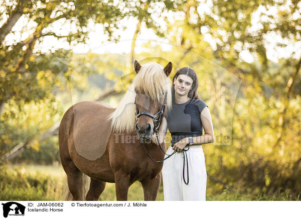 Islnder / Icelandic Horse / JAM-06062