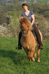 woman rides Icelandic horse