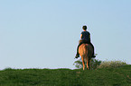 woman rides Icelandic horse